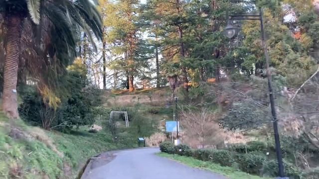 Прогулка в Ботаническом саду в Батуми. Под музыку. смотреть онлайн