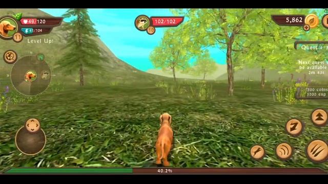 Dog Sim Online: Raise a Family - Gameplay Walkthrough Part 6 - Hunting Rabbit (iOS, Android) смотреть онлайн