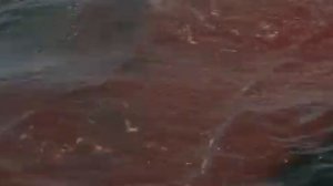 "Челюсти" 1975 Нужна лодка побольше!