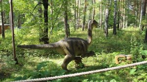 Настя и настоящие Динозавры.The best of Dinosaurs Jurassic World. Динопарк часть 1,VLOG.