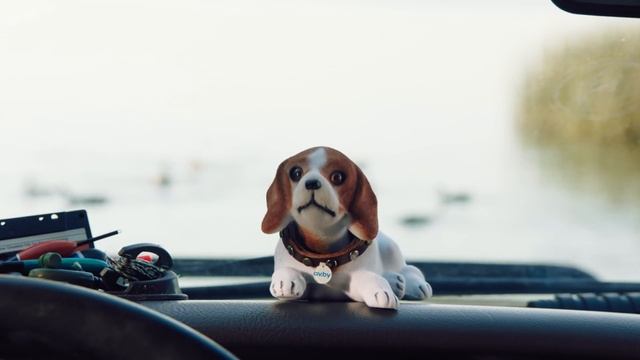 Правда, что на av.by машин больше, чем рыбы в Свислочи? смотреть онлайн