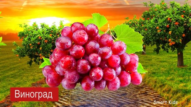 Фрукты и овощи для детей |Учим названия тропических фруктов и овощей | Учим название Фруктов смотреть онлайн