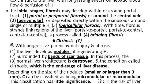 12th Lecture Video GIT = 1 Liver Path wiswasi смотреть онлайн