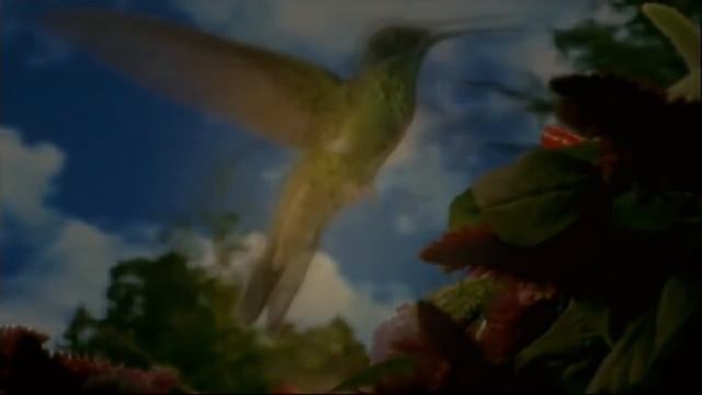 Позитив на каждое утро! Подарок от фильма 'СЕКРЕТ' смотреть онлайн