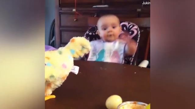 ► Funny Kookaburra Laughing ? Animals Laugh ? Laughing Bird ? Animals Funny Videos ?