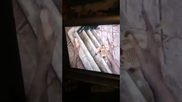Skyrim noclip glitch смотреть онлайн