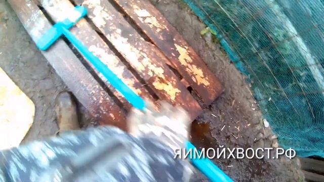 Санитарная обработка будки, вольера. ЯИМОЙХВОСТ.РФ смотреть онлайн