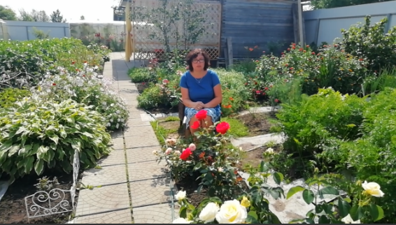 Мои любимые цветы на даче. смотреть онлайн