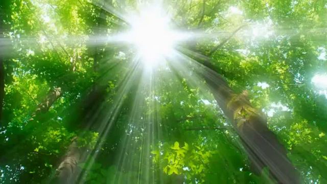 День первый. Реальность изобилия. смотреть онлайн