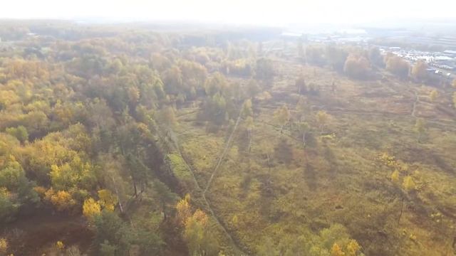 Радиополя в Некрасовке. Лес вырубят под застройку жилых домов. смотреть онлайн