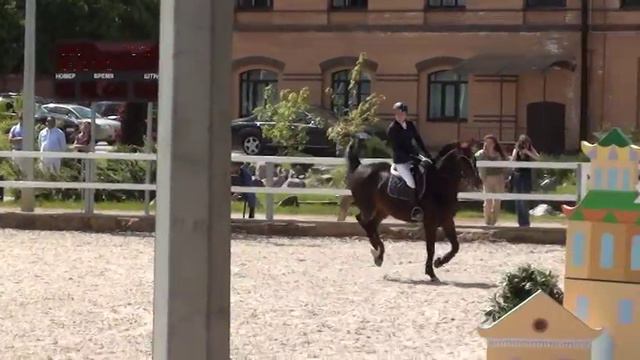 Аренда/Продажа конкурной лошади Вирпул/Лена110 смотреть онлайн