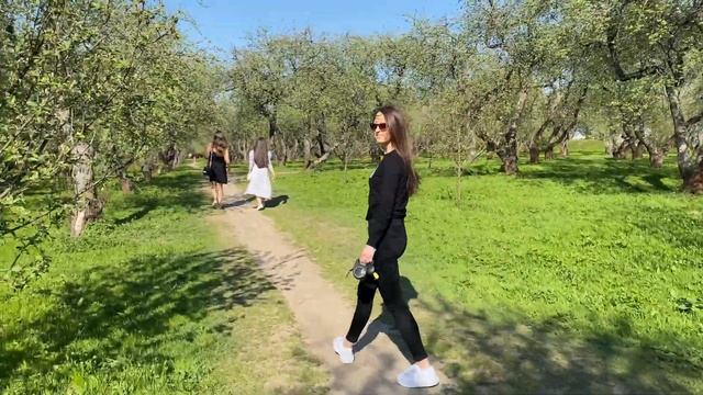 В Коломенском зацвели яблони! Dachshund Love Flowers