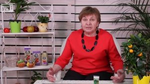 Из чего делают ВАСАБИ? ? ЭВТРЕМА ЯПОНСКАЯ, ЯПОНСКИЙ ХРЕН ? Можно ли вырастить в средней полосе РФ?