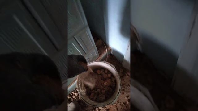 Розборка кахельної пічки смотреть онлайн