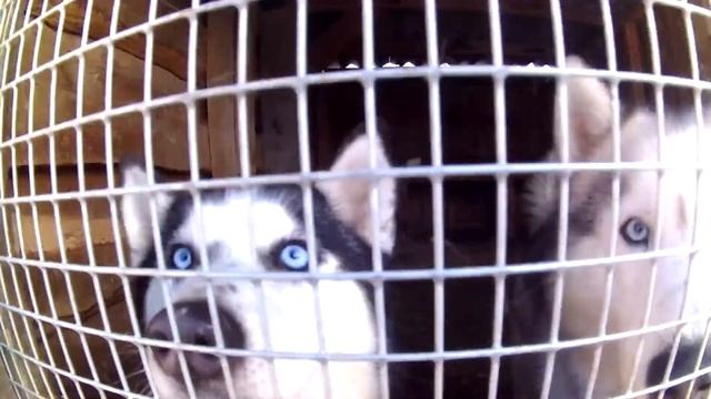 Экстрим клуб "Быстрай". Часть 1 смотреть онлайн