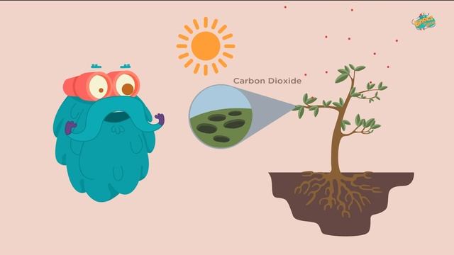 फोटोसिन्थेसिस | प्रकाश संश्लेषण | Photosynthesis In Hindi | Dr.Binocs Show | Binocs Ki Duniya смотреть онлайн