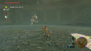 The Legend of Zelda Breath of the Wild #053 (Колизей) | Полное 100% Прохождение