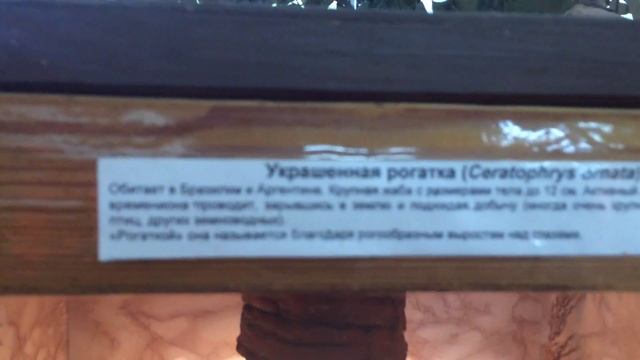 Украшенная Рогатка отдыхает смотреть онлайн