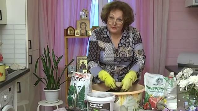 Подготовка грунта для рассады. Экзотические сорта томатов. смотреть онлайн