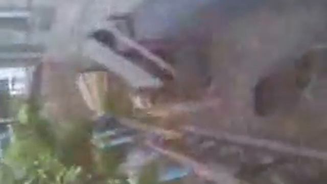 собока орет смотреть онлайн