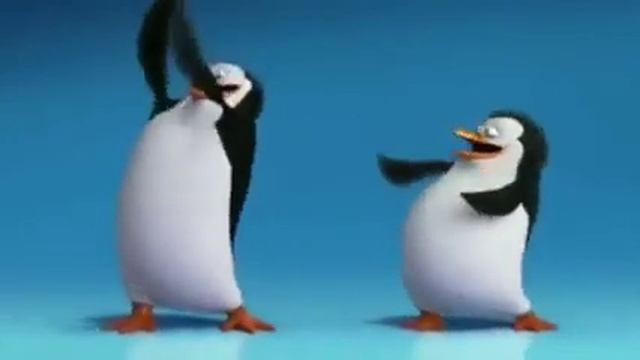 Video dos pinguins dançando MADAGASCAR original para fazer memes!!!!! смотреть онлайн
