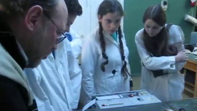 Практикум по физиологии - ЗБШ`08 смотреть онлайн