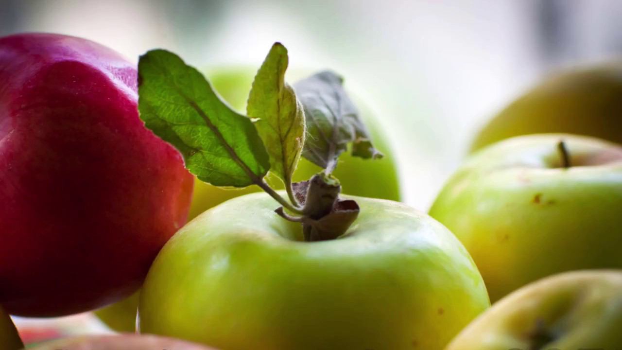 Пономарев Сергей