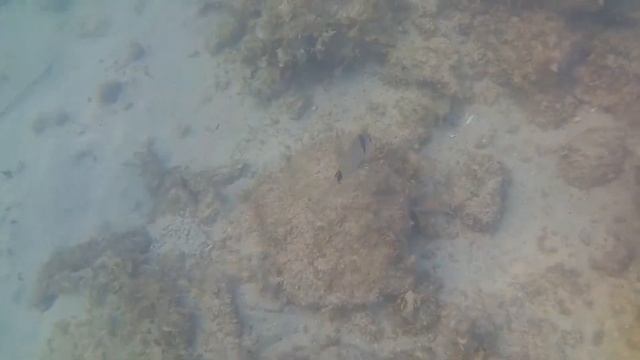 Майорка пляж Магалуф смотреть онлайн