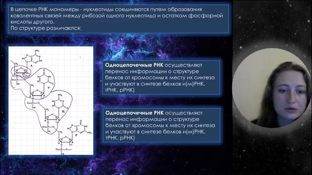 Урок 10. Нуклеиновые кислоты с примерами заданий на ЕГЭ смотреть онлайн