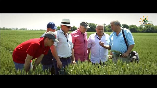 Органик Синтез смотреть онлайн