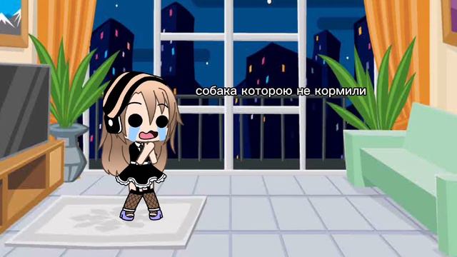 это первое видео с такой собакой смотреть онлайн
