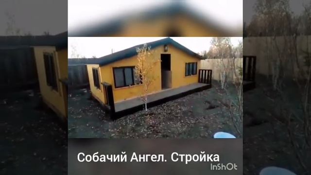 Dogs Angel. Такого ТЫ ЕЩЁ НЕ Видел! Приют альтернативного содержания для собак.стариков и инвалидов