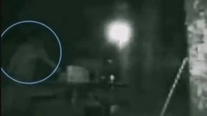 Снежный человек (Йети) - интересные кадры о снежном человеке.