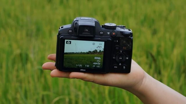 Nikon Coolpix P510 смотреть онлайн