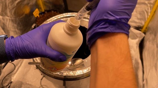 Гидропоника. Настройка и запуск системы, садим семечко. Часть 2 смотреть онлайн