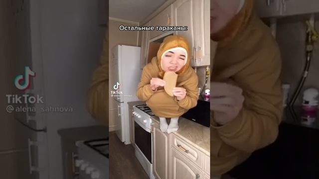 Таракан на кухне смотреть онлайн