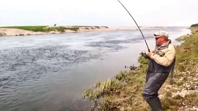 Камчатский Лосось. смотреть онлайн