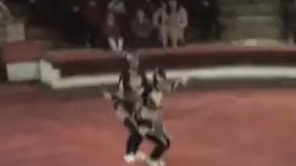 circus.Acrobatics duet womens"cats"Galaktionovi.wmv