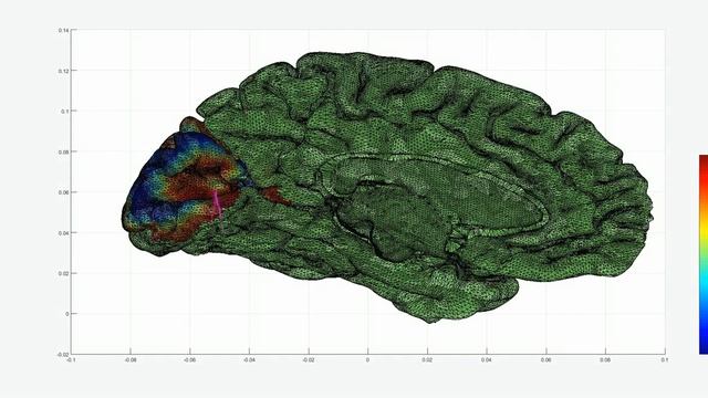 The simulation propagating waves in the visual cortex of the human brain (v17905) смотреть онлайн