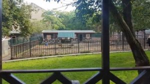 Форэста фестиваль парк обзор отеля. Foresta festival park.