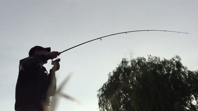 Толстолоб на спиннинг и силикон съедобный Ballist от lucky John. Monster river fish. смотреть онлайн