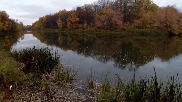Там, Где Трофейные Голавли! Рыбалка в месте где в прошлый раз наловили огромных Голавлей в Октябре смотреть онлайн