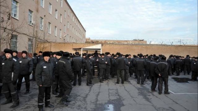 Жизнь до звонка