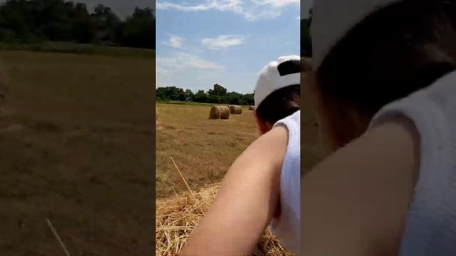 Мелисса и стог сена. Спонтанная фотосессия. Melissa and the haystack смотреть онлайн