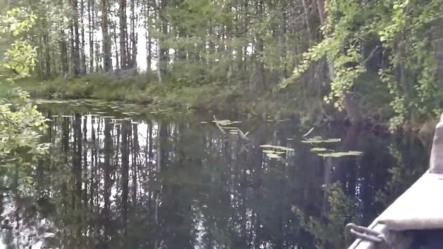 Карелия, Поньгома смотреть онлайн