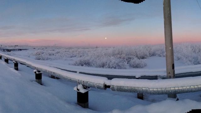 Работа в Салехарде(ЯНАО)