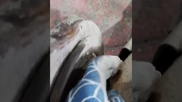 Рычаг Митсубиси ремон. 1ч смотреть онлайн