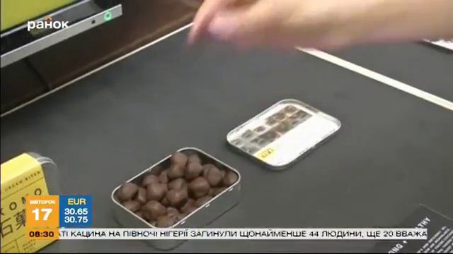 Сверчки в шоколаде: экзотический десерт