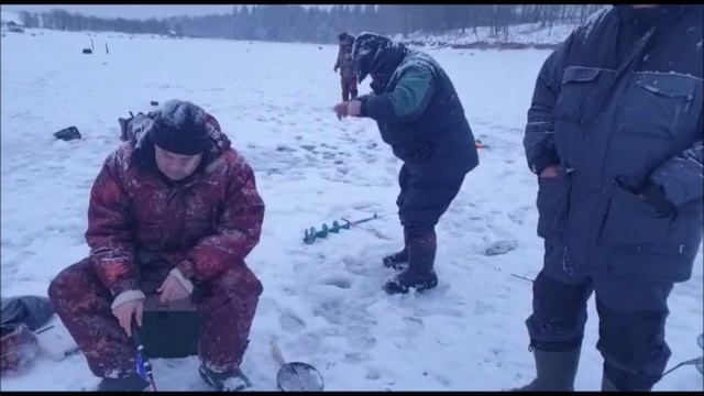 Активный клев в 3 секторе!!!Клевое Место д.Савельево смотреть онлайн