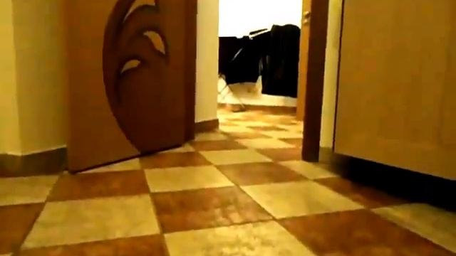 Самая умная кошка в мире смотреть онлайн